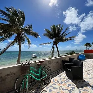  Apartment Punta Me With Sea View &